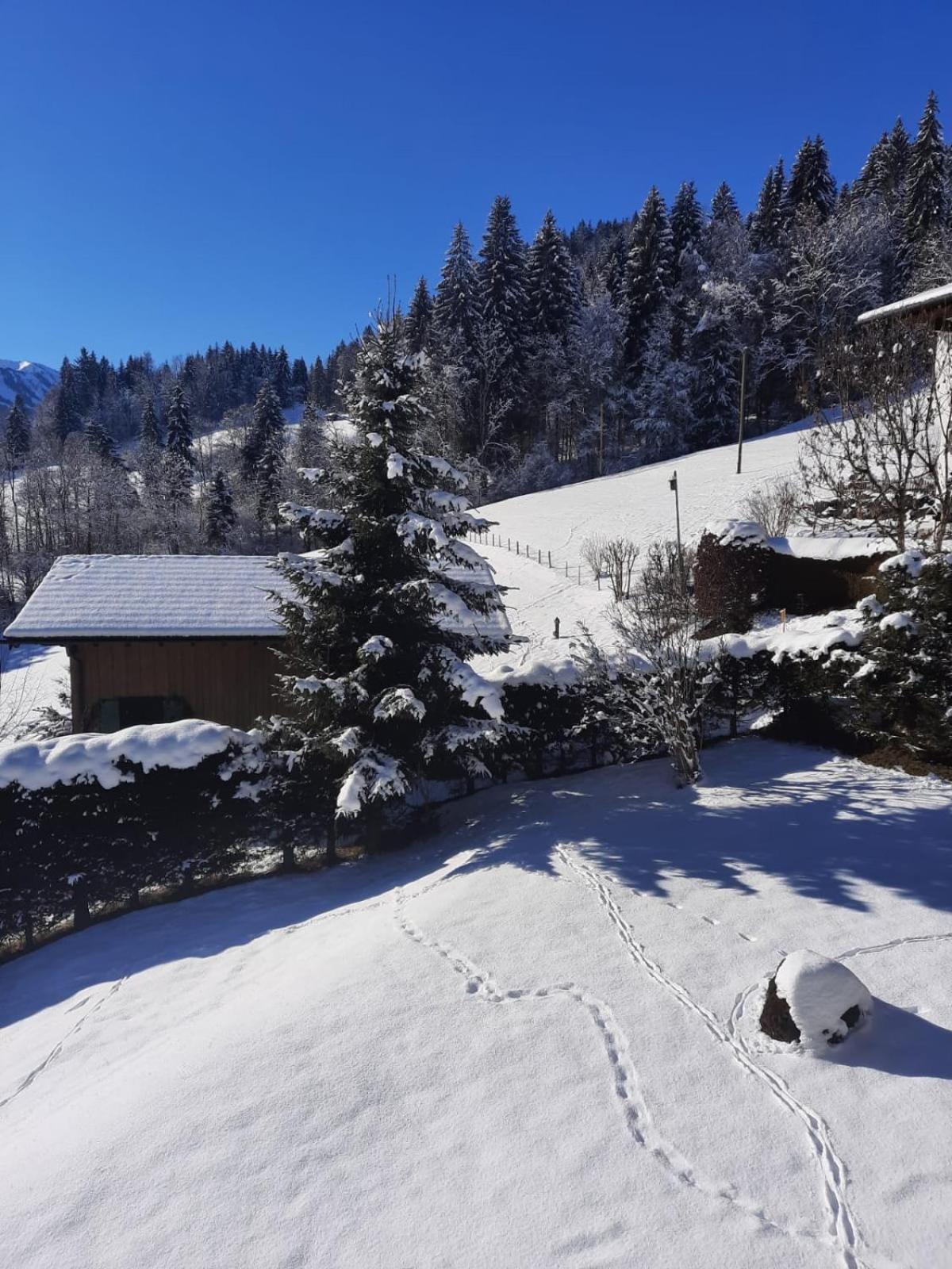 Berghof Mehlan Otel Fischen im Allgaeu Oda fotoğraf